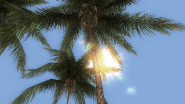 80s True Vegetation Palm Trees